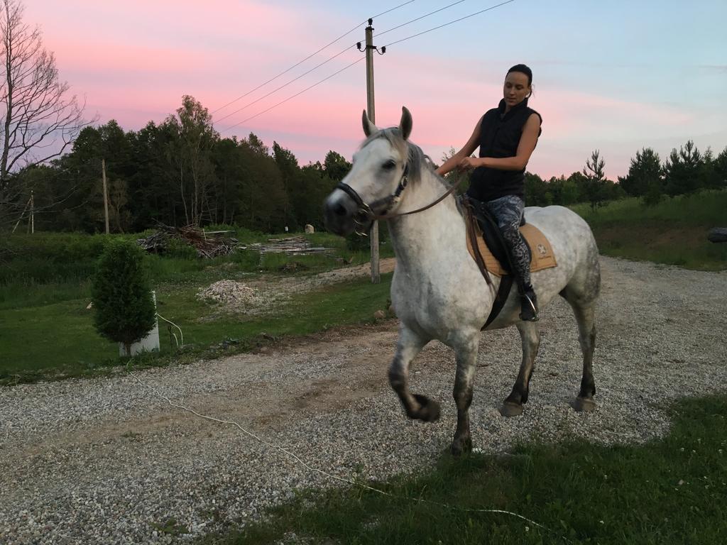 Namelis Salia Vynuogyno Villa Budziliai ภายนอก รูปภาพ