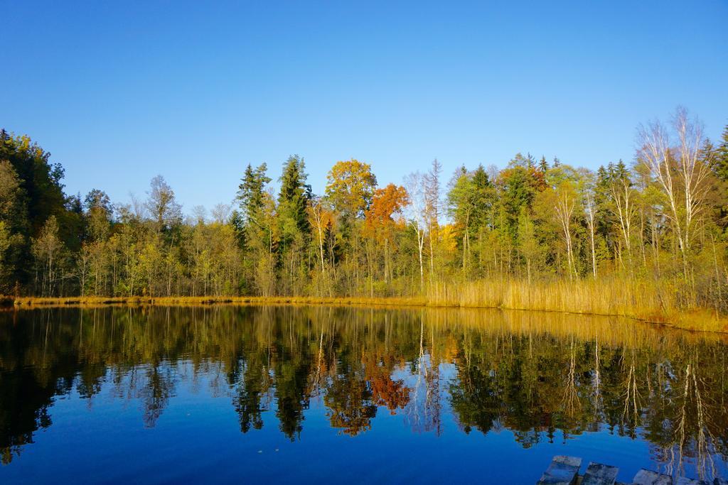 Namelis Salia Vynuogyno Villa Budziliai ภายนอก รูปภาพ
